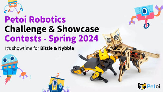petoi_sping_2024_robotics_showcase_-_robot_theme