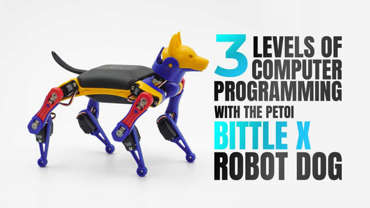 three levels of computer programming curriculum for Bittle X robot dog