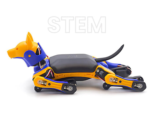 Mix Colour robotic dog