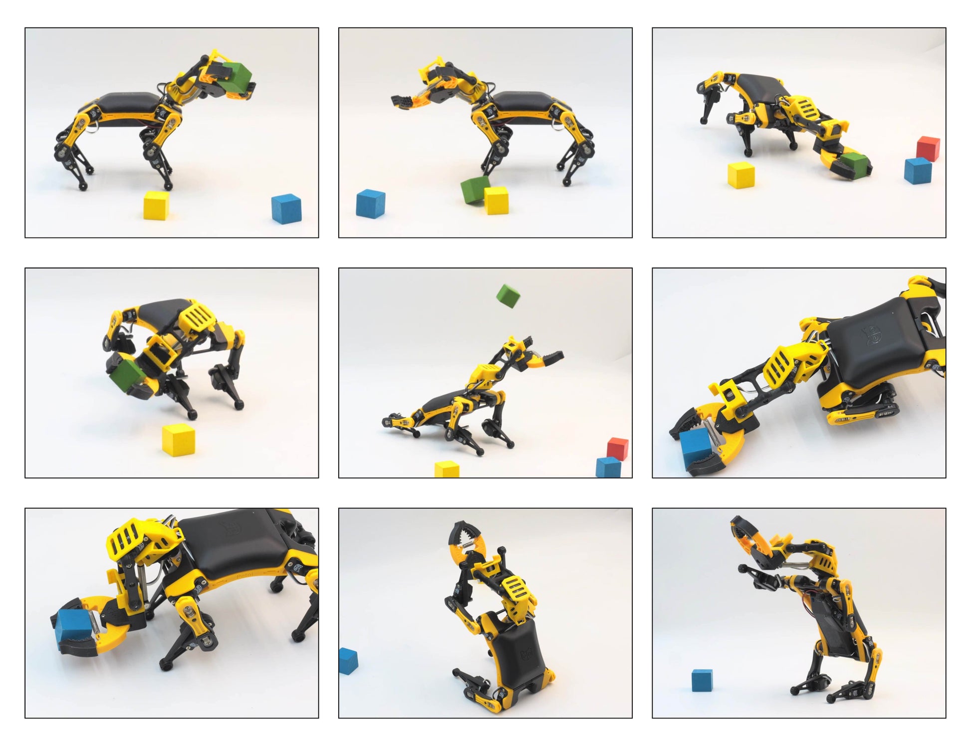 Bittle X Robo Dog Pose