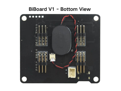 BiBoard ESP32 Development Board