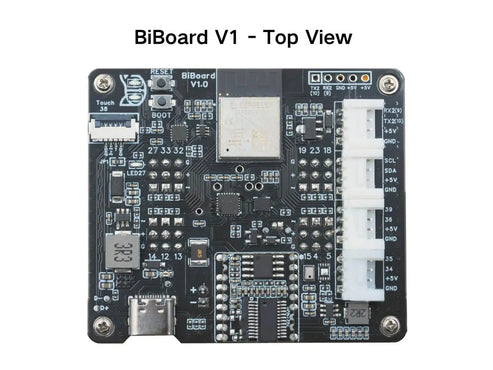 BiBoard Development Board Image