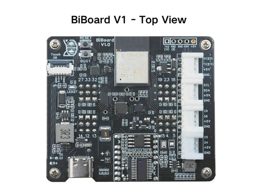 BiBoard Development Board Image