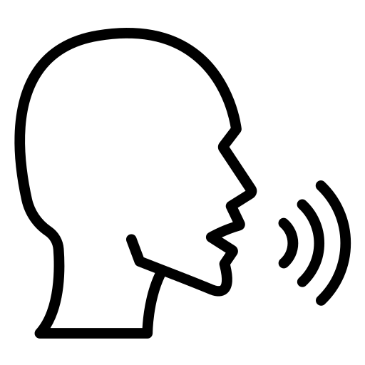 voice control