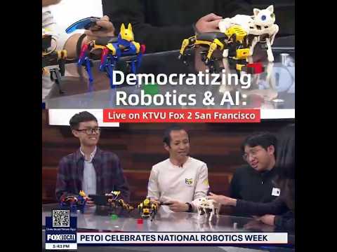 Robo Dog Bittle X | A Coding Robot | Petoi