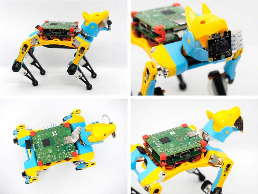Petoi robot dog Bittle with Raspberry Pi