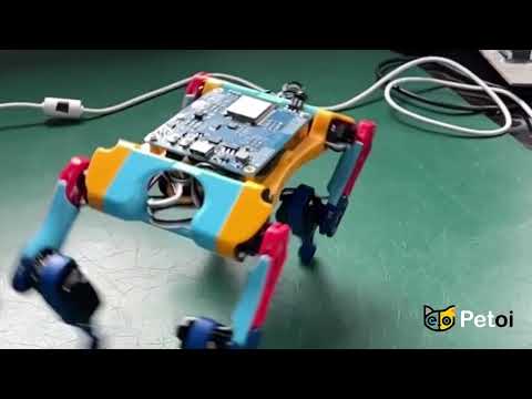 Quadruped Robot Development Board