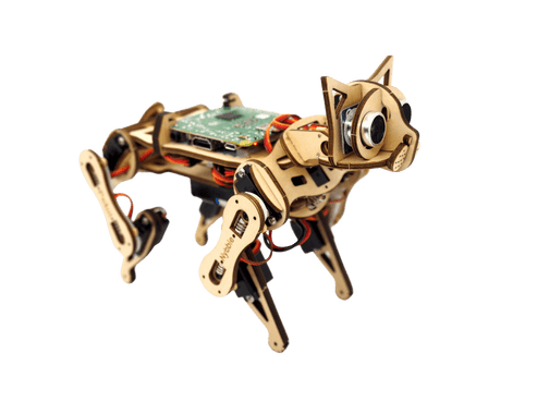 Petoi Nybble robot cat  with Raspberry Pi