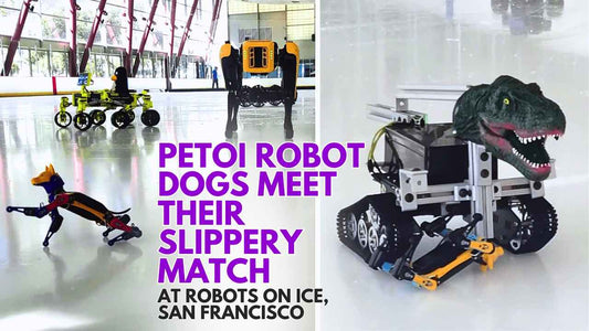 Robots on Ice 2024 Featuring Petoi Robot Dog Bittle & Bittle X - Petoi