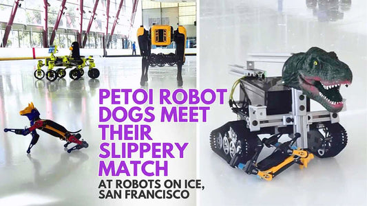 Robots on Ice 2024 Featuring Petoi Robot Dog Bittle & Bittle X