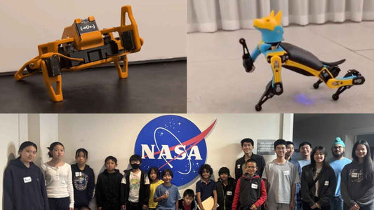 winner robots and teams of Petoi Robotics & AI Celebration 2026