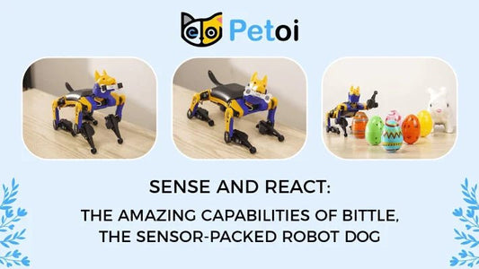 Sense and React: the Amazing Capabilities of Bittle, the Sensor-Packed Robot Dog - Petoi