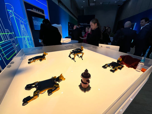 AWS IoT Robot Fleet Open Source Demo with Petoi Bittle