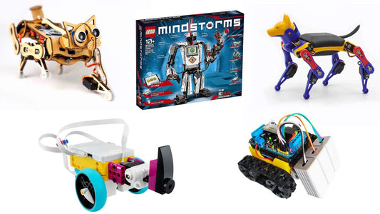 DIY Robot Kits for Beginners: Best Options and How to Use Them - Petoi