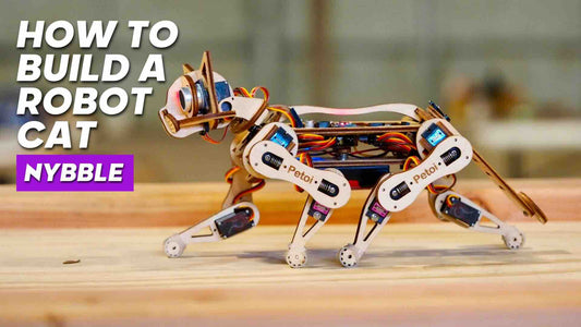 How To Build A Robot Cat Nybble