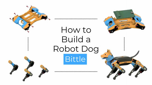 How To Build A Robot Dog - Step By Step Guide with bittle robot kit