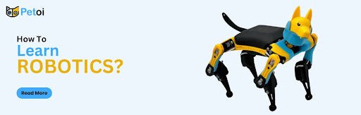 How to Learn Robotics? Everything You Need to Know - Petoi