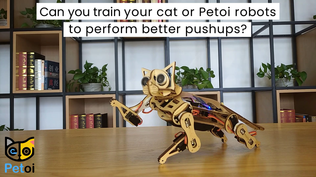 Beginner Robotics Coding Tutorial - Teach Quadruped Robot Cat Nybble Doing One-handed Push-ups
