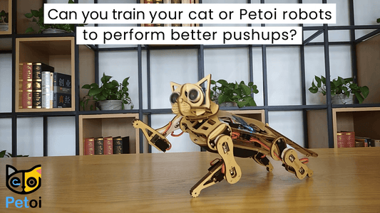 Beginner Robotics Coding Tutorial - Teach Quadruped Robot Cat Nybble Doing One-handed Push-ups - Petoi