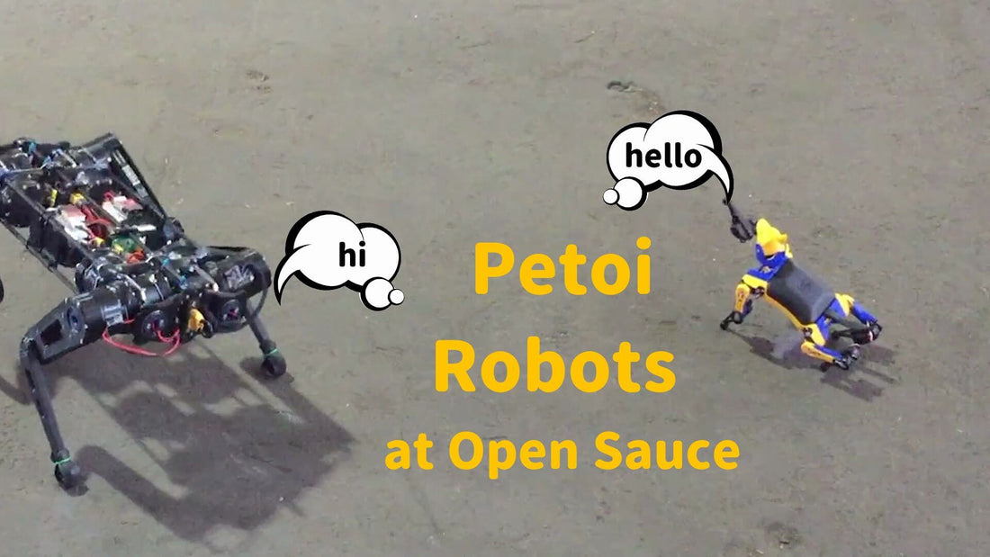 Petoi robots at open sauce