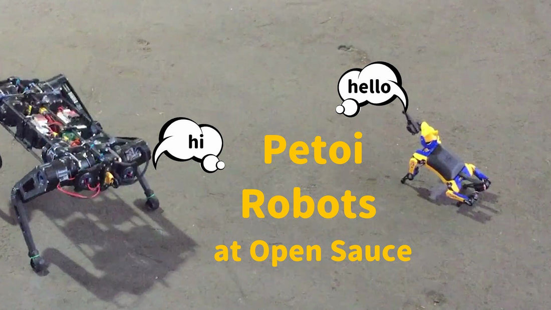 Petoi robots at open sauce