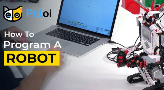 How to program a robot