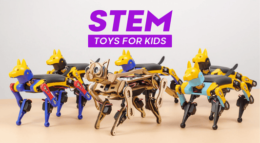 STEM Toys for Kids: Unleashing Creativity and Learning Fun - Petoi