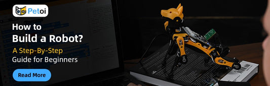 How to Build a Robot: A Step-By-Step Guide for Beginners - Petoi
