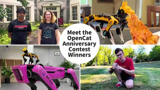 Winners for the OpenCat Robot Around the World Contest