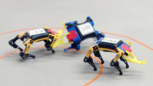 Quadruped Robotic Competition: Unleashing Innovation and Excitement