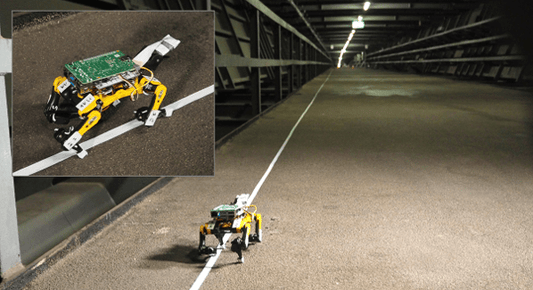 Mobile Structural Health Monitoring with Petoi Bittle Robot Dog on Köhlbrand Bridge - Petoi