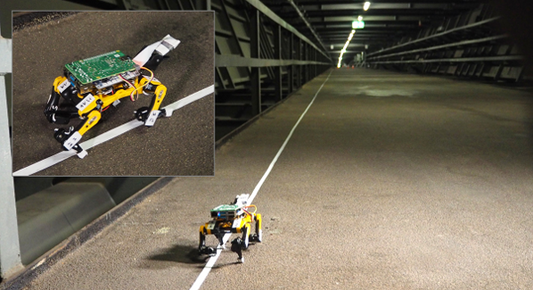 Mobile Structural Health Monitoring with Petoi Bittle Robot Dog on Köhlbrand Bridge