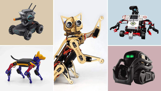 Robot Project Ideas for Students - Petoi