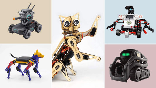 engaging robot project ideas with Petoi Nybble, Bittle robot pet, DJI robomaster, Lego Mindstorm,Anki Vector Robot