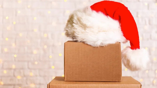 2025 Christmas Delivery Guide - Petoi