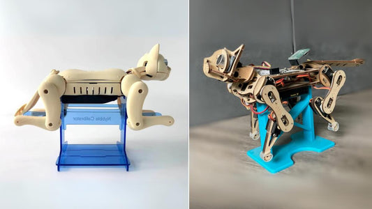 3D-Printed Accessories for Nybble and Nybble Q: Enhance Your Open Source Robot Cat - Petoi