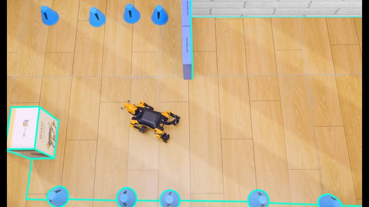 Quadruped Robotics Competition Ideas with Petoi Open Source Robots