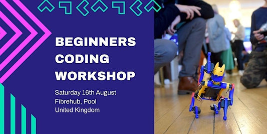 tech cornwall bittle x robot dog beginner coding workshop aug 2025