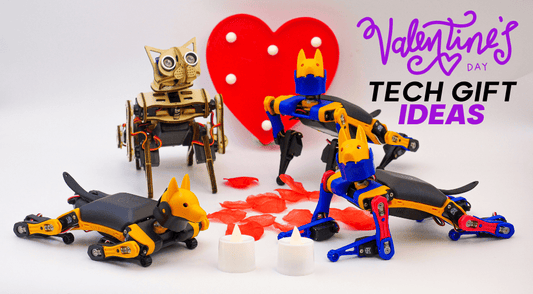 Valentine's Day Tech Gift Ideas: Tech Expressions of Love - Petoi