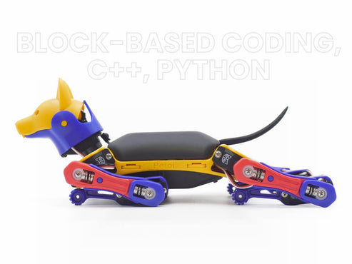 Bittle X Robo Dog Ready to Strike