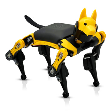 Robo Dog Bittle X | A Coding Robot | Petoi