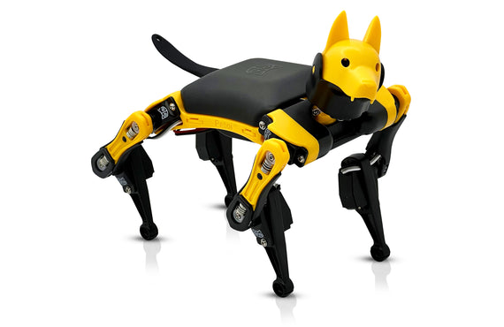 Robo Dog Bittle X | A Coding Robot | Petoi