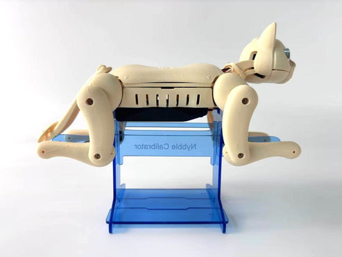 Calibration Stand for Robot Cat