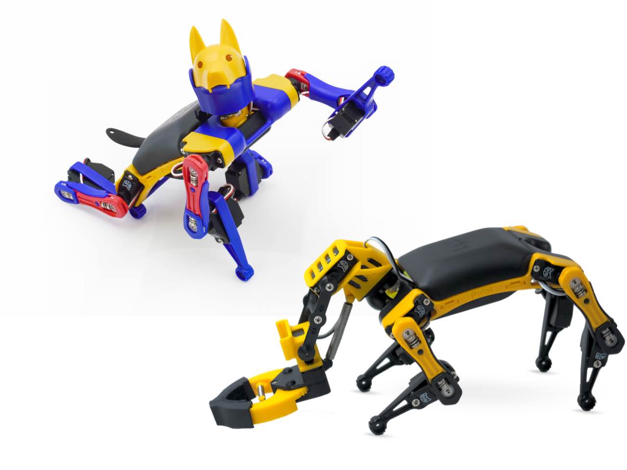 Bittle X Robot Dog