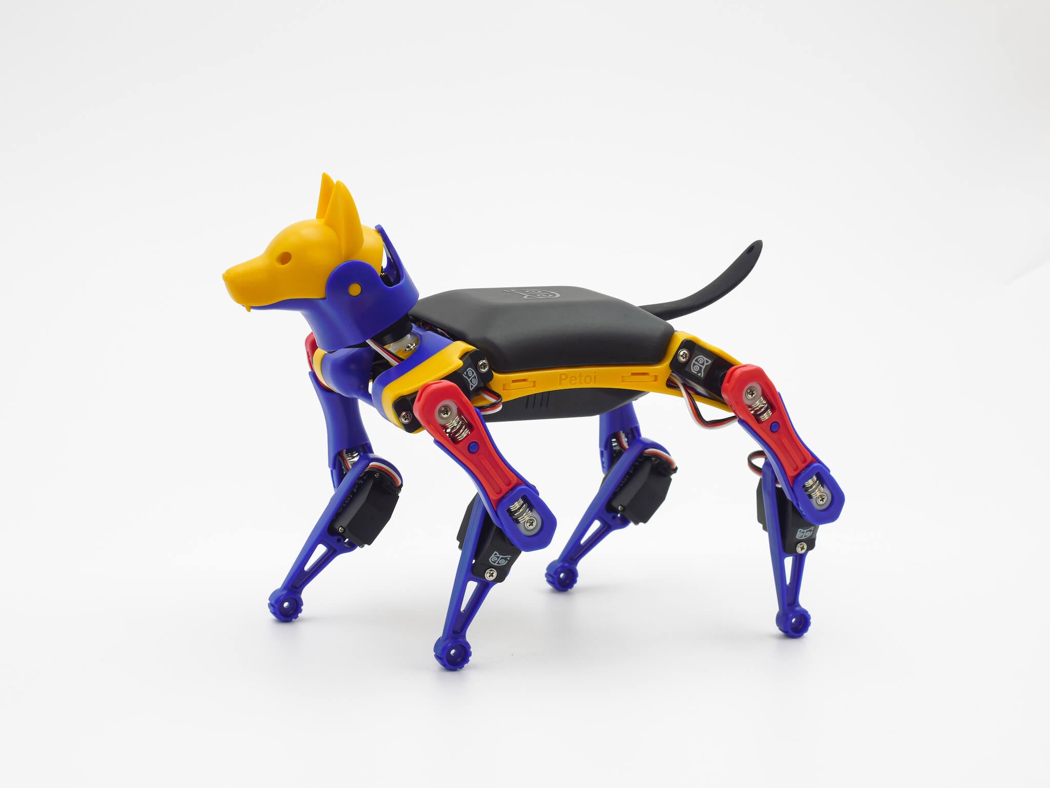 File It Dog Enhance STEM Education with Petoi Bittle for Schools and Universities