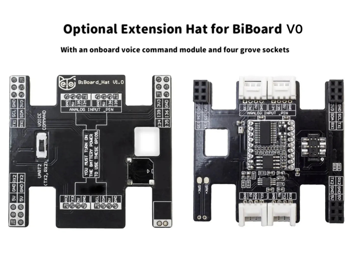 extension_hat_for_Biboard_V0