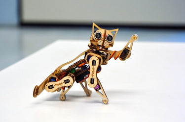 Arduino sales robot cat