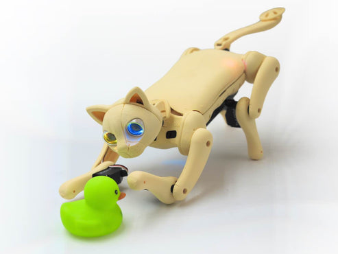 Robotic Cat | Petoi