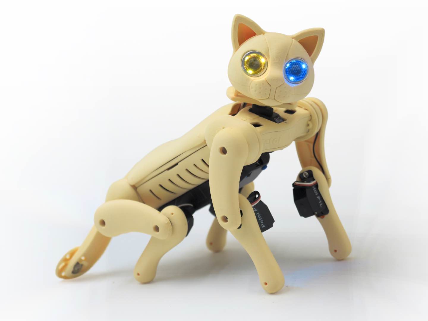 Robotic Cat | Petoi