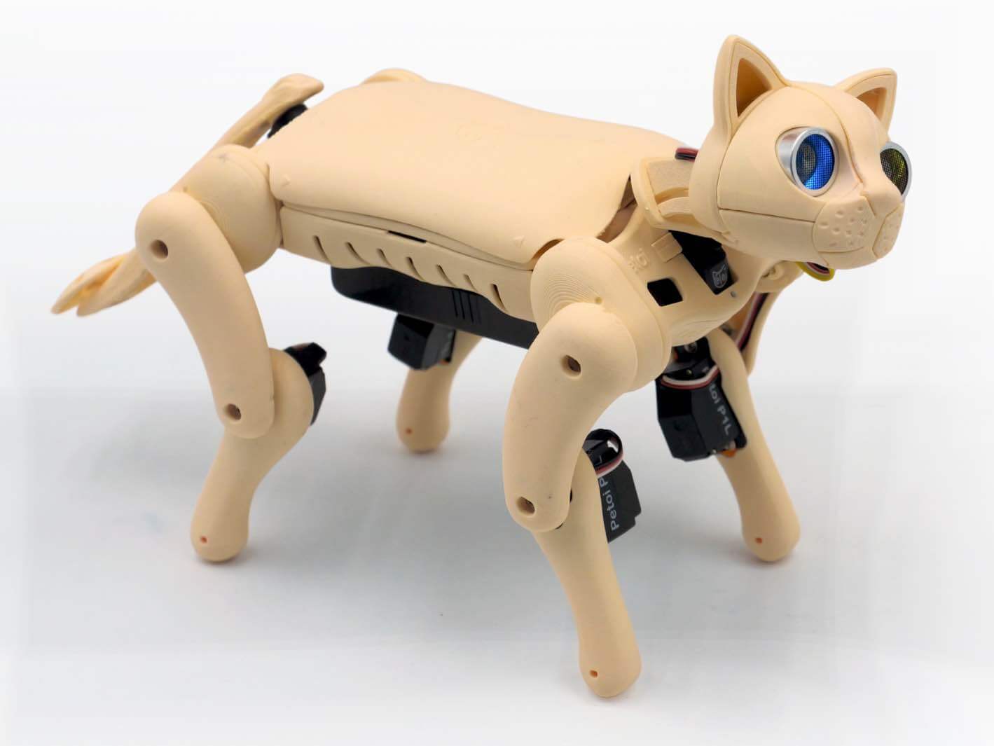 Robot Code Cat Nybble Robot Cat — Programmable Open-Source Robot Pet | Petoi